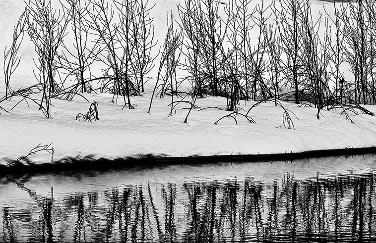 Brubaker-Merced-River-Winter-Tree-Reflections