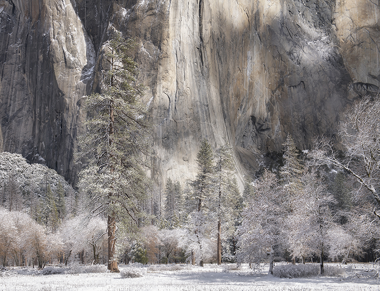 Franka M. Gabler, Winterscape #6, Yosemite, CA